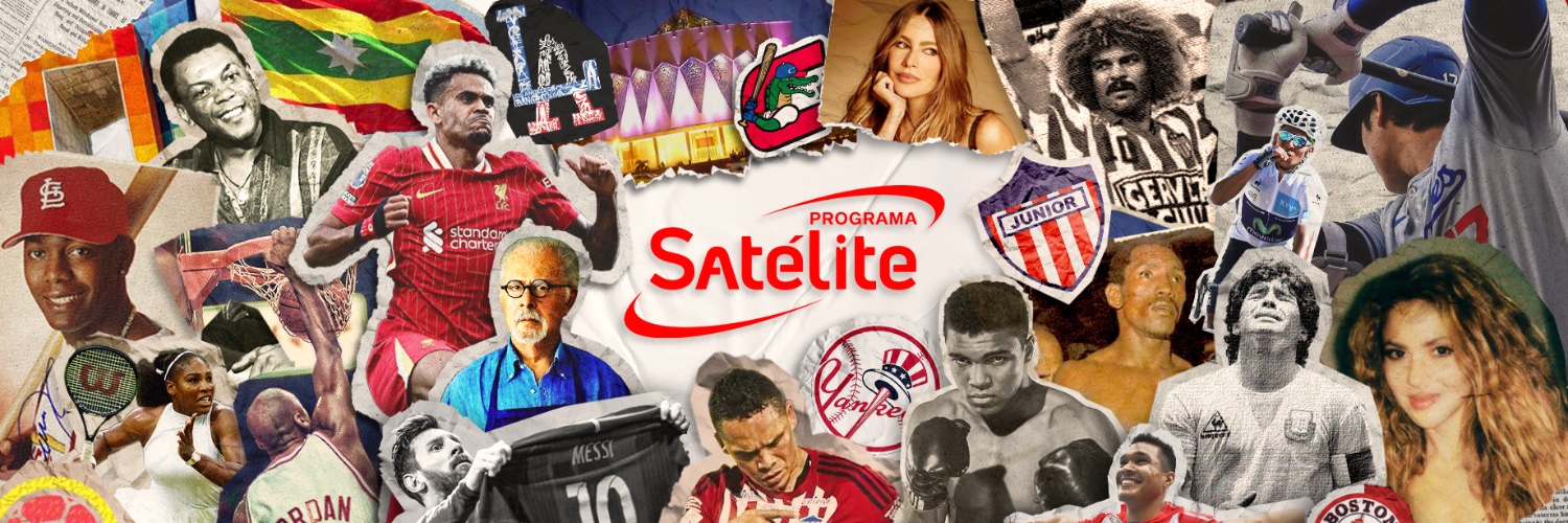 Programa Satelite banner