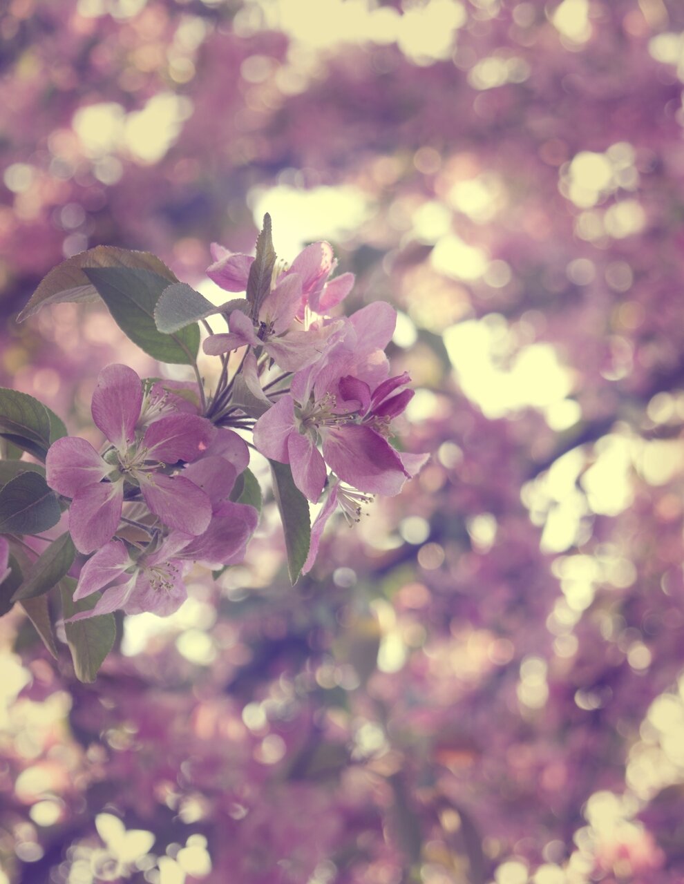 Jequi2563's profile banner image