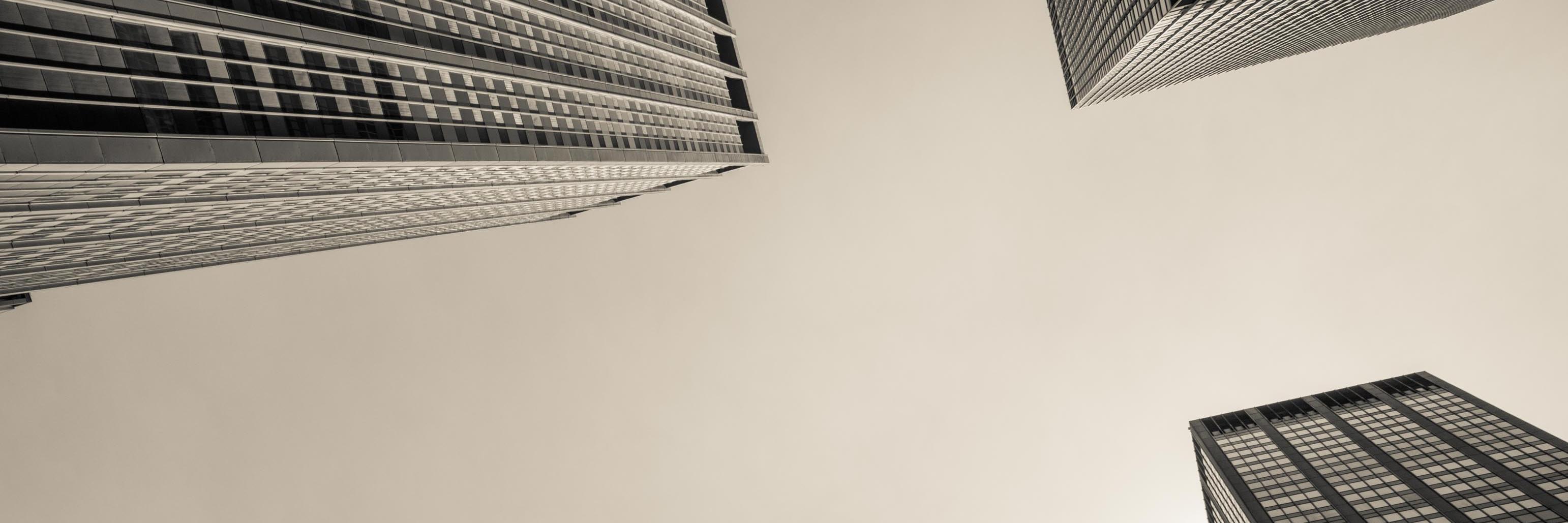 MintyMangoJobs's profile banner image