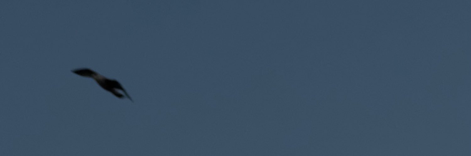 eframehan's profile banner image