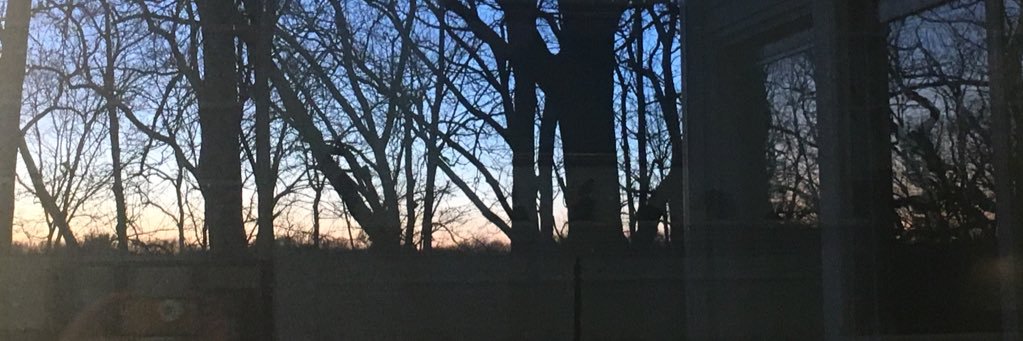 Beth Spitznogle banner