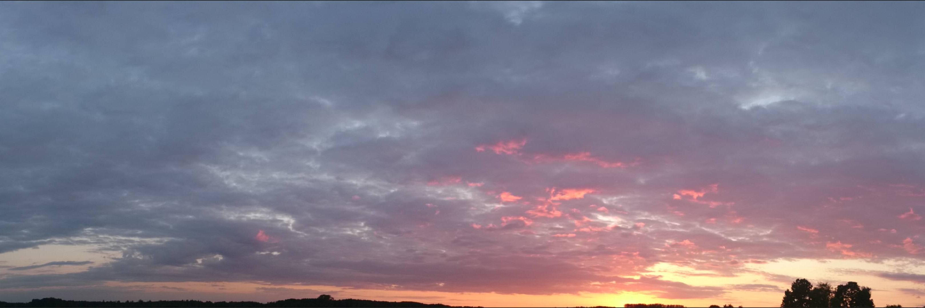 Didzis Brīvkalns banner