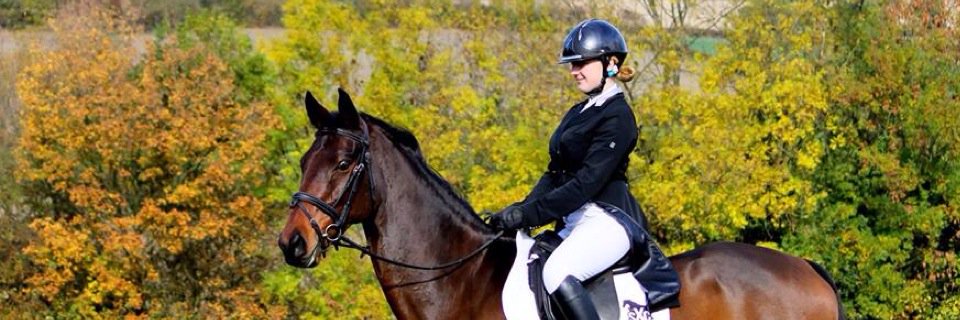 Polly_Chiverton's profile banner image