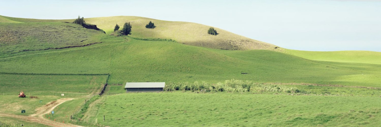 Ashkan Mizani banner