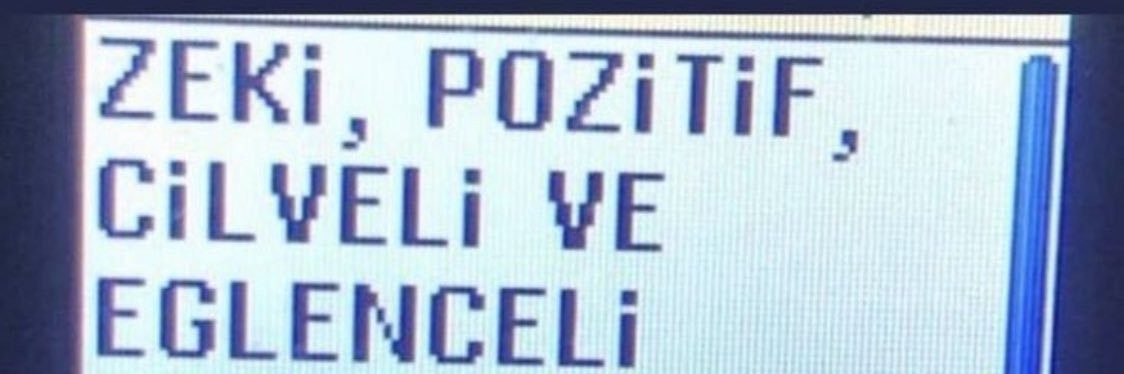 pelinadli's profile banner image