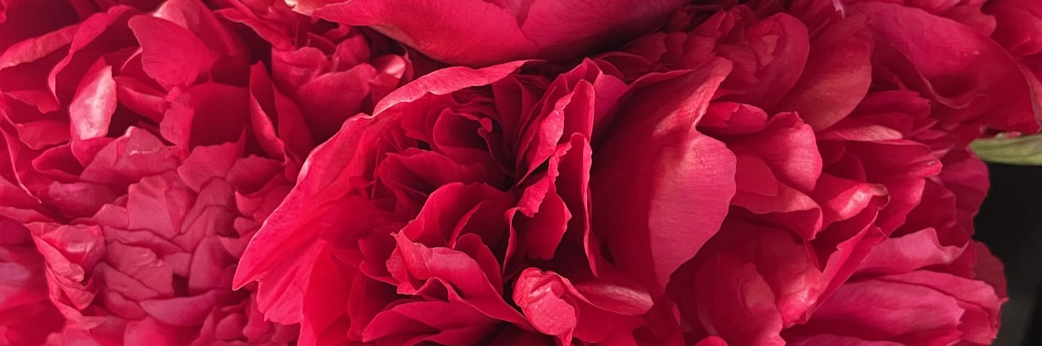 LauraAndrews6's profile banner image