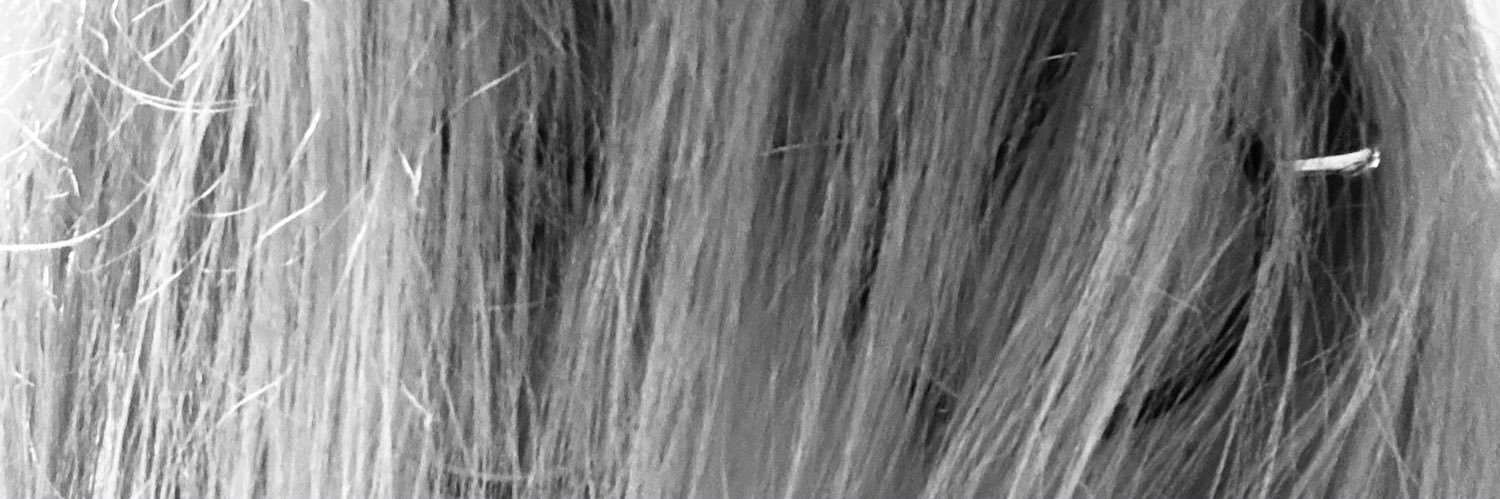 kdc6966's profile banner image