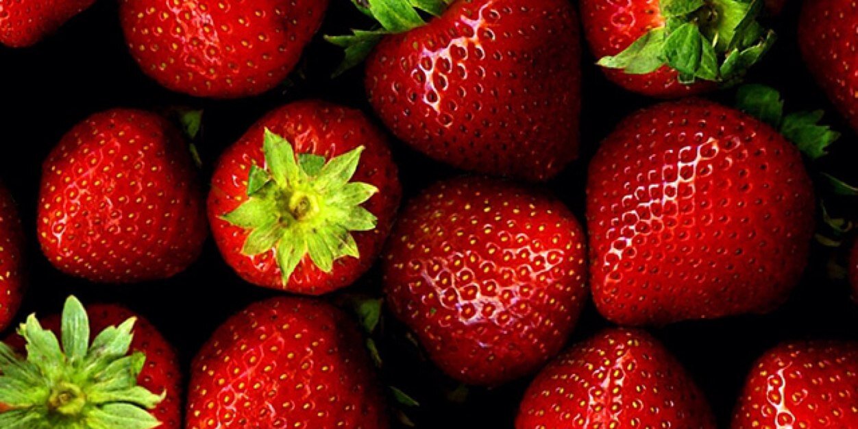 39398686's profile banner image