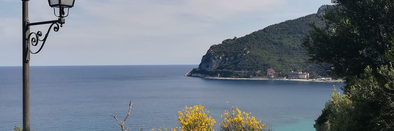 AgneseGarabello's profile banner image