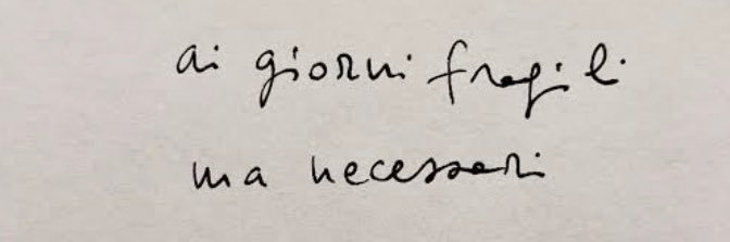 Marina Indulgenza banner