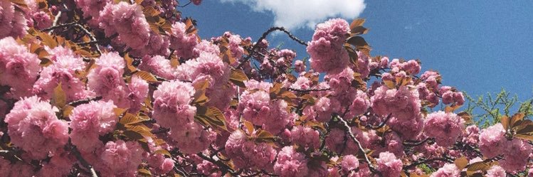 kateljmx's profile banner image