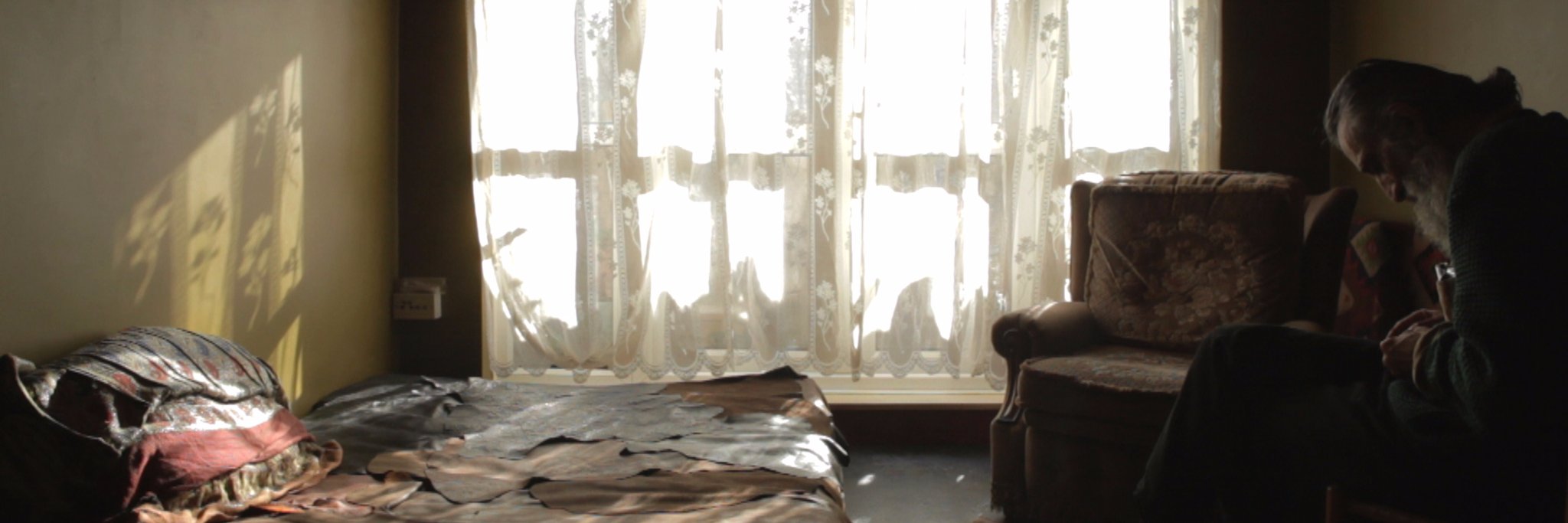 Cécile Embleton banner