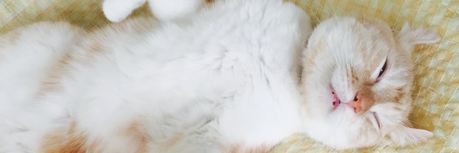 pochakabe's profile banner image