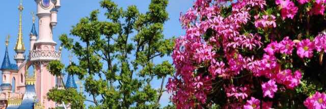 _ReemaAlbarrak's profile banner image