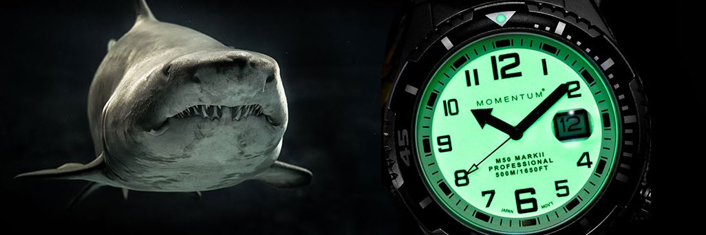 MomentumWatch's profile banner image