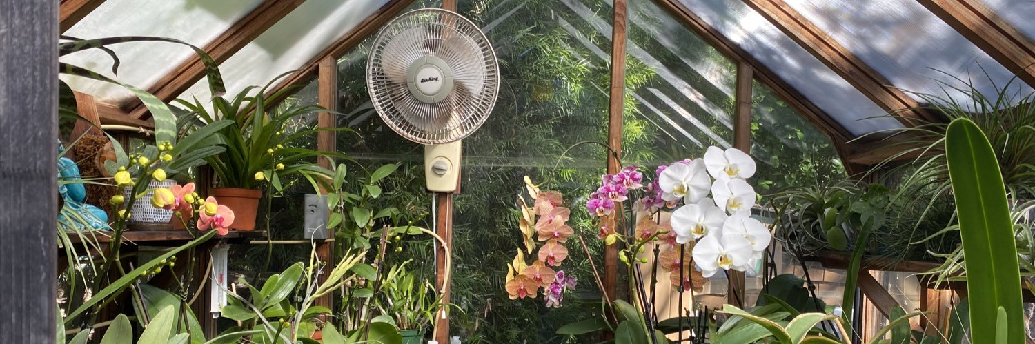 HamiltonOrchids's profile banner image
