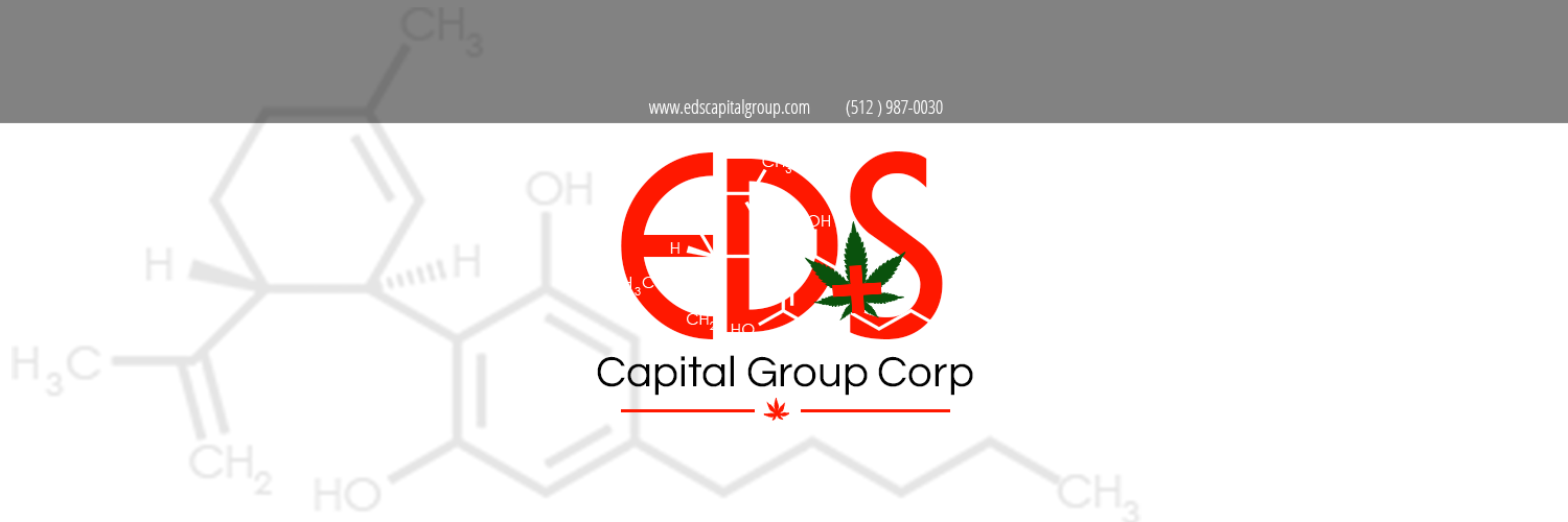 EDS Capital Group