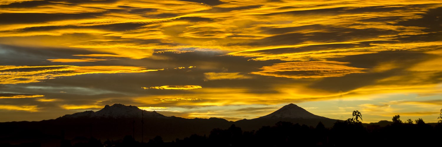 Mónica Domínguez banner