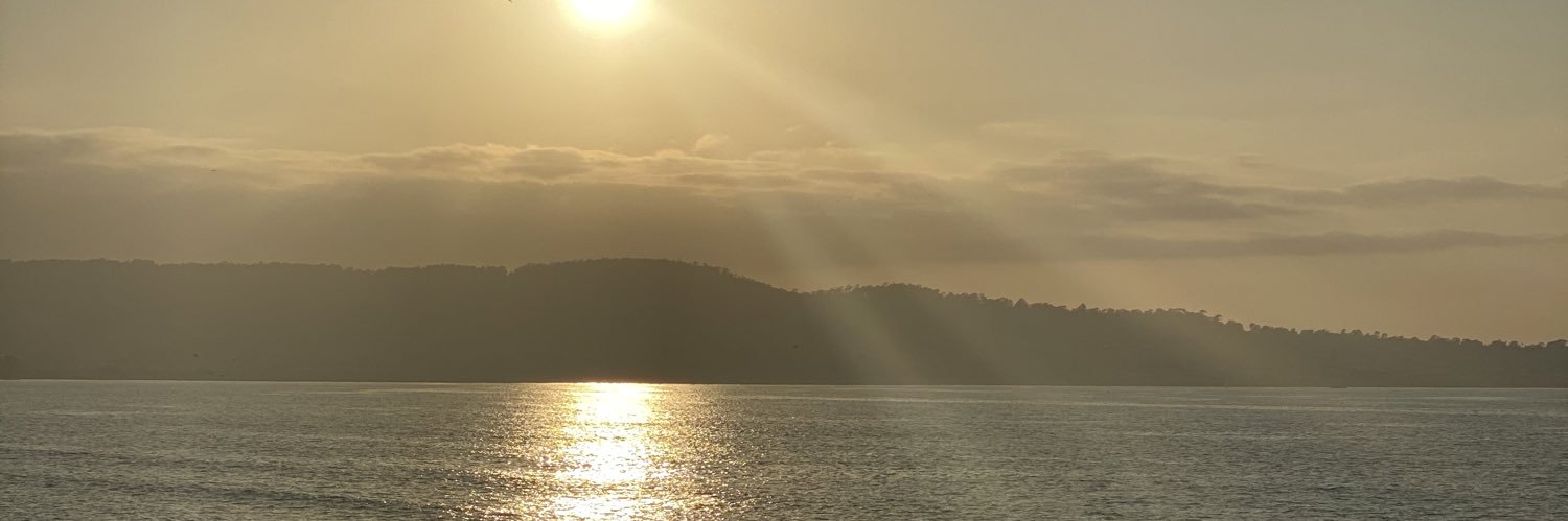 Chivamonster's profile banner image