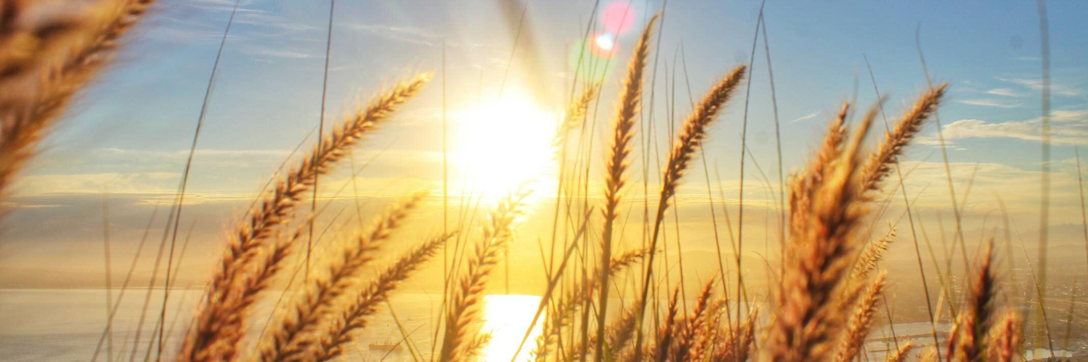 Colin Besaans banner