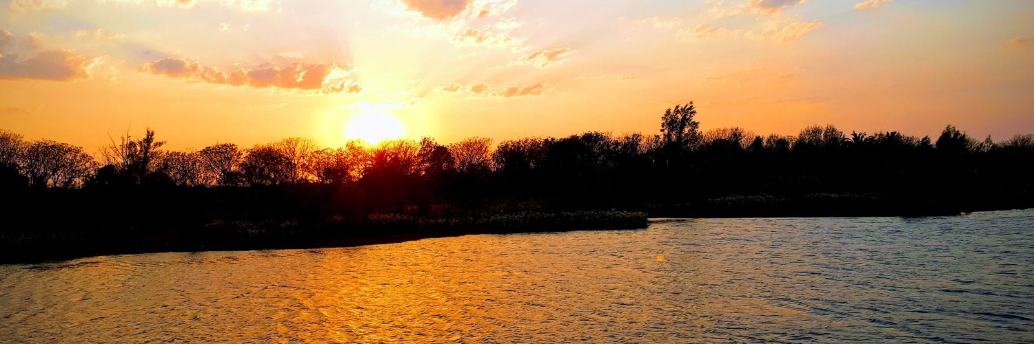 Emma Pitchforth banner