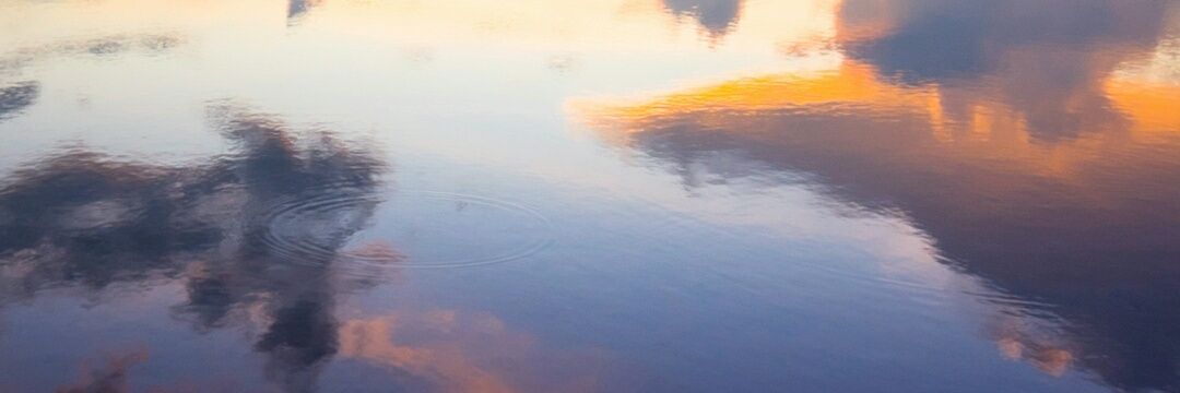 UK41393296's profile banner image
