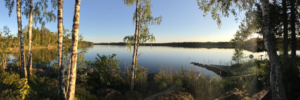 Peter Löfgren banner