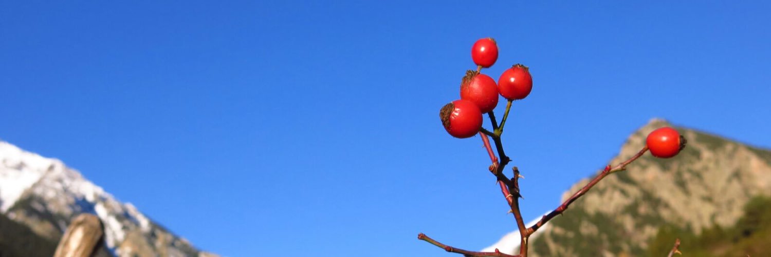 emmaroca1's profile banner image