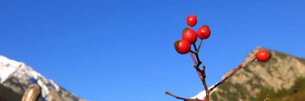 emmaroca1 Profile Banner