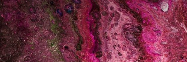 bkkd_fl's profile banner image