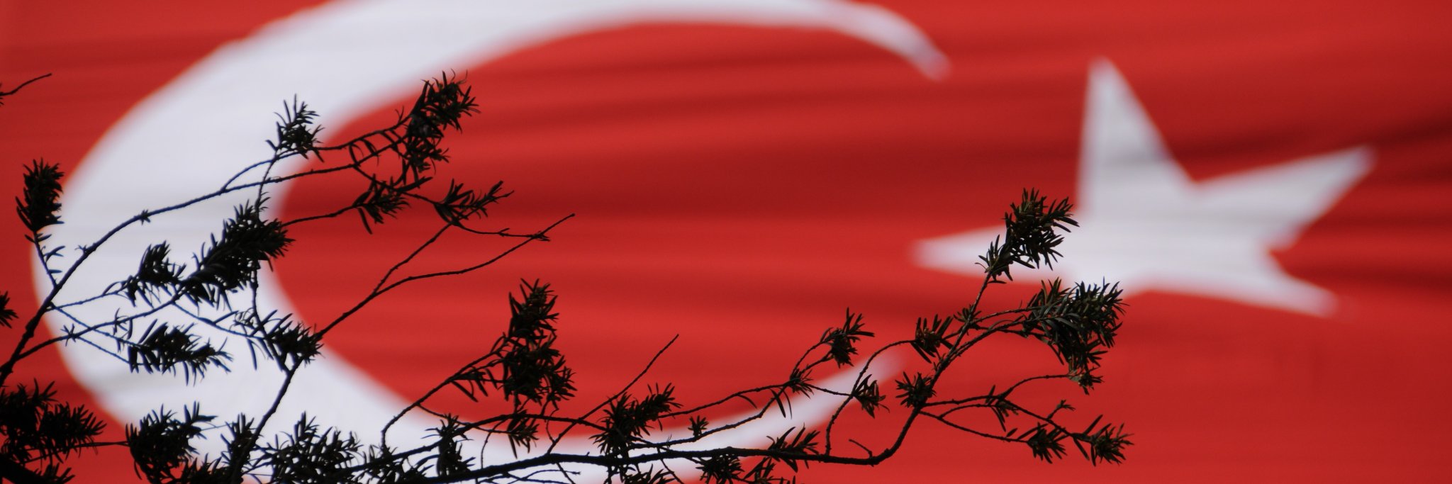 OzelKelam's profile banner image