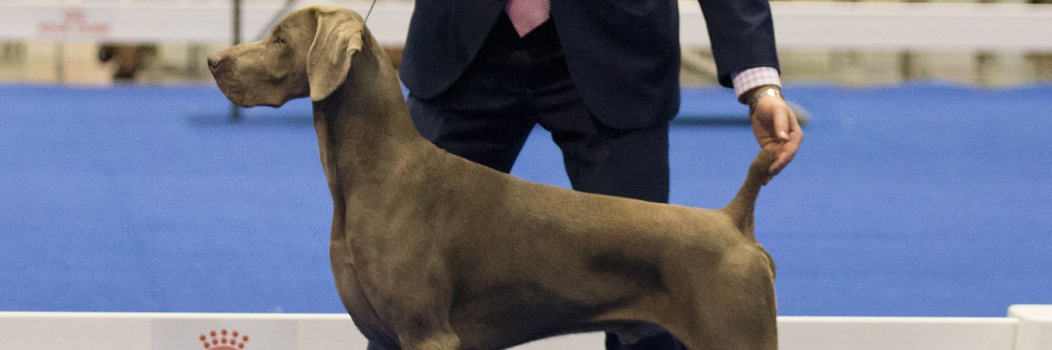 🐊🐊🐊🐊🐊🇺🇸 banner