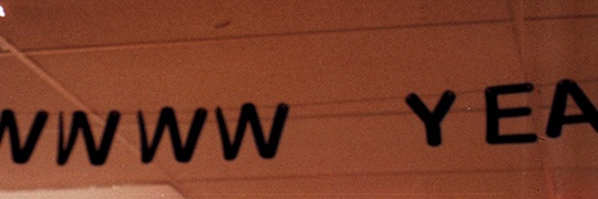 squillienelson's profile banner image