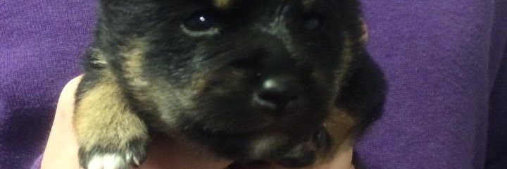 Dagrqv's profile banner image