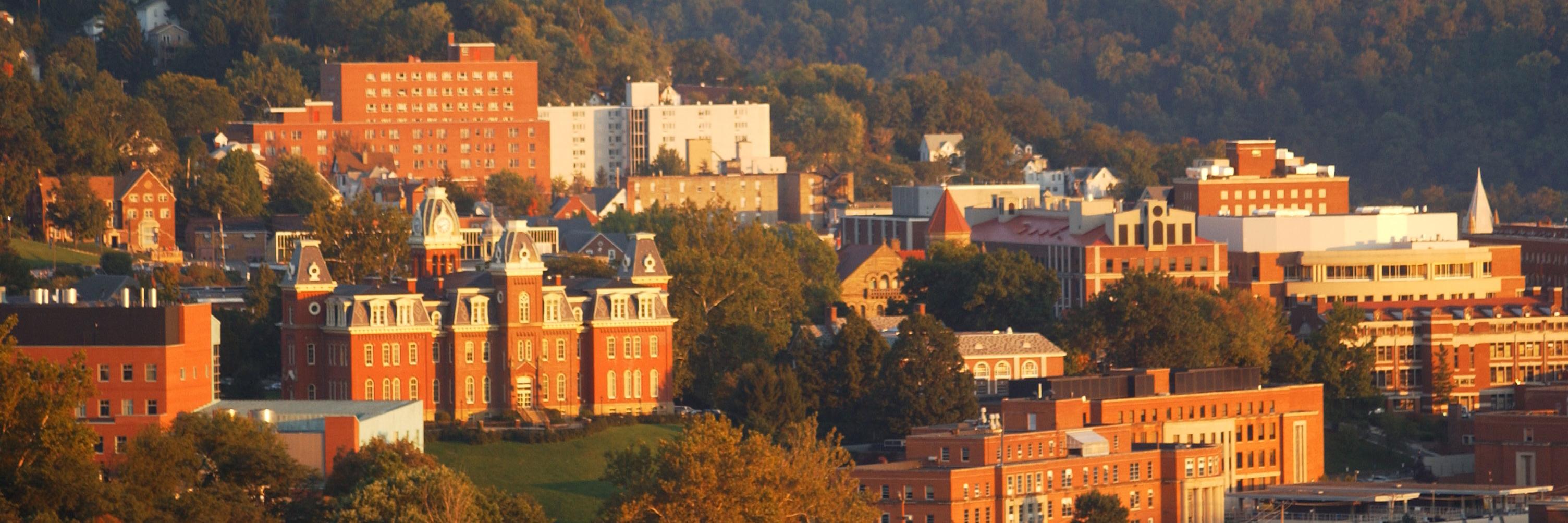 WVUTriota's profile banner image