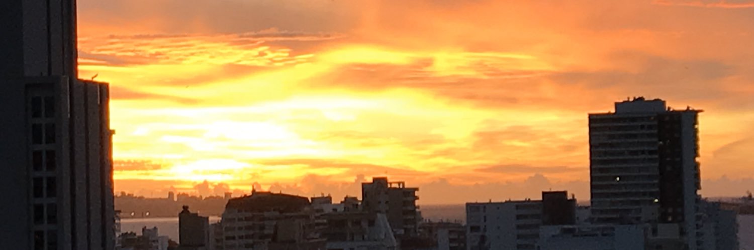 solelami's profile banner image