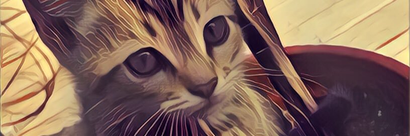 MeIIowToning's profile banner image