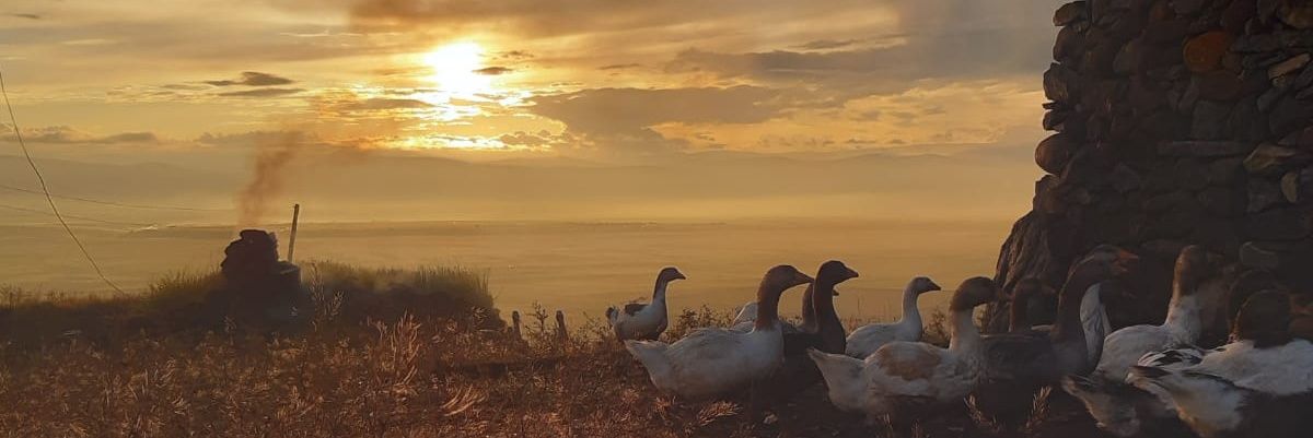 sitcemtr's profile banner image