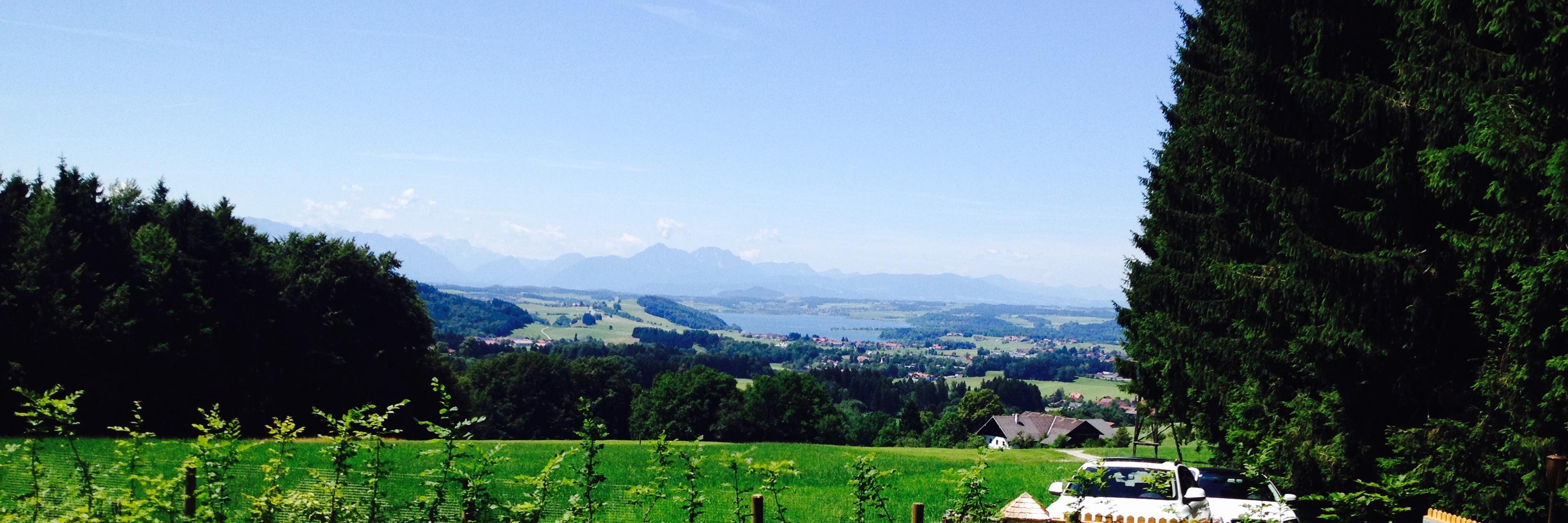 FHirschbichler's profile banner image