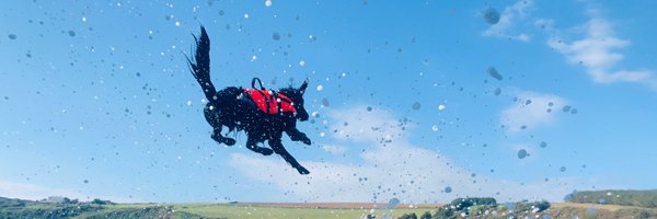 melissabeagle Profile Banner