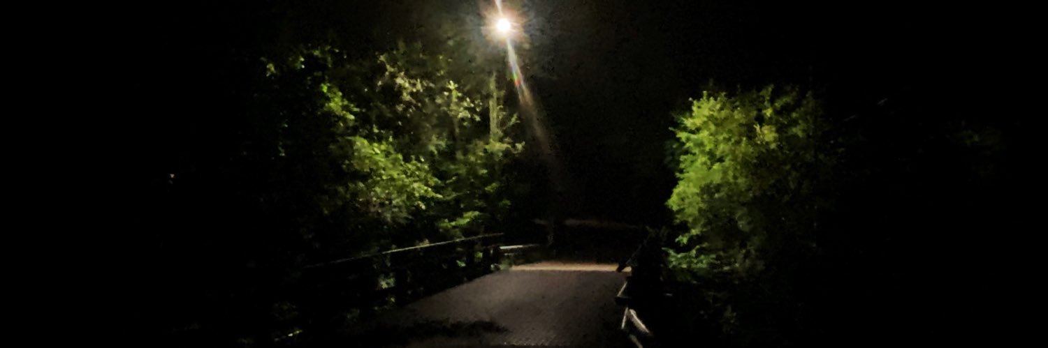 Visions Fugitive banner