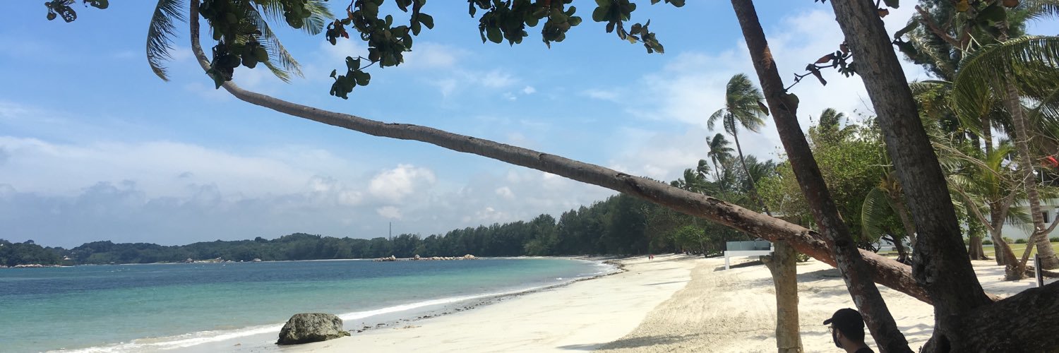 AlabhyaMandloi's profile banner image