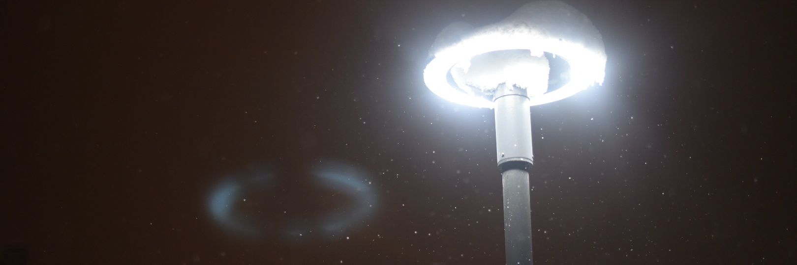 turgtsri's profile banner image