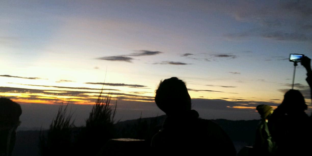 PlaaCute's profile banner image