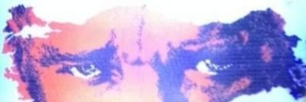 gundogdu_uyan Profile Banner