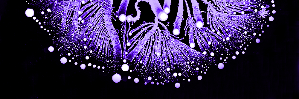 LoisFStark's profile banner image