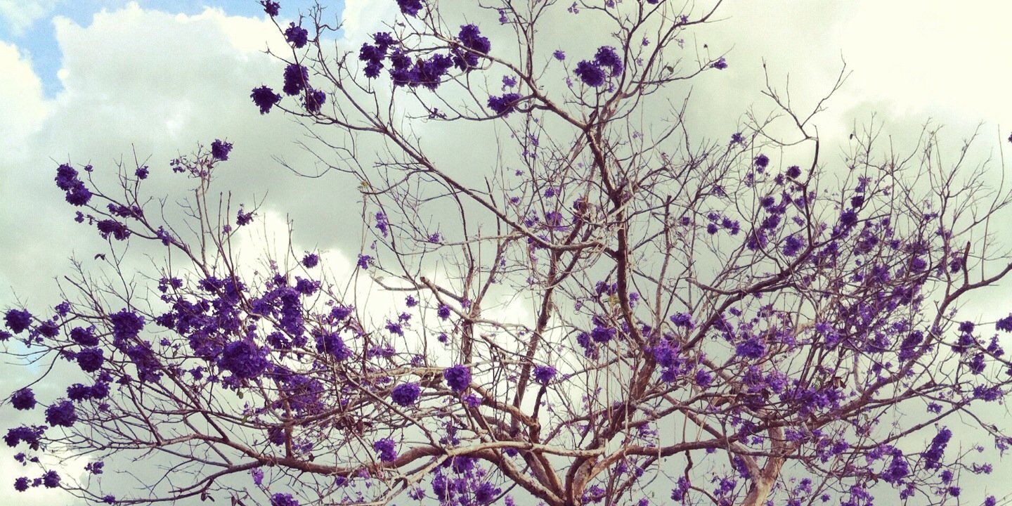 pau_manosalva's profile banner image