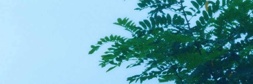 limlimbam's profile banner image