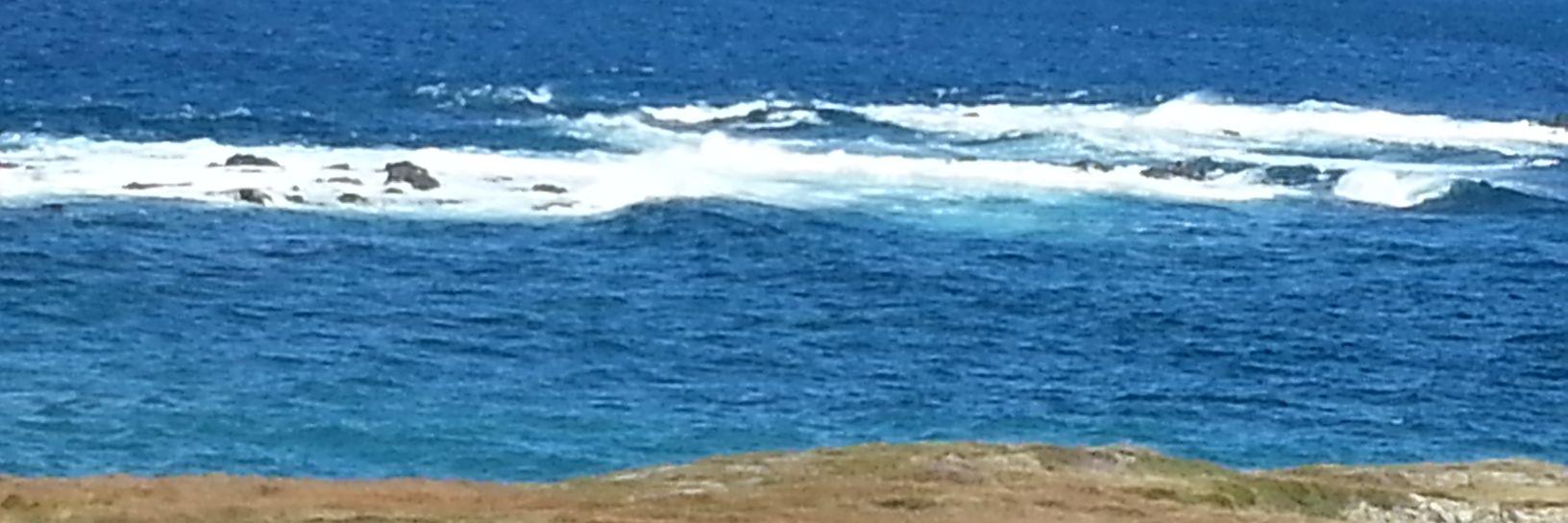 Jennifer Snow banner