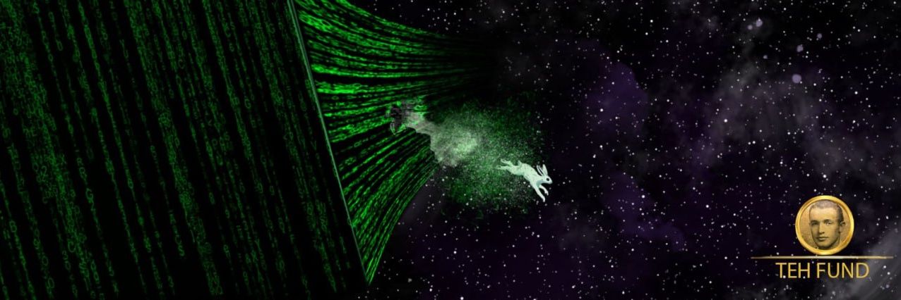 DeFi_dumpster_fire banner